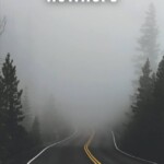 51hutL3fdiL._AC_UF894,1000_QL80_(1)