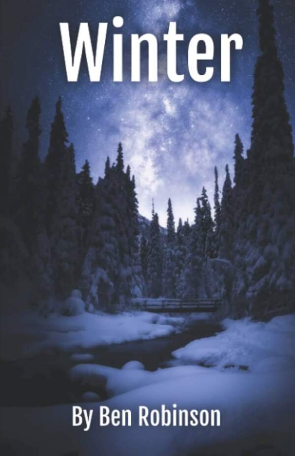 Winter poetry book paperback
