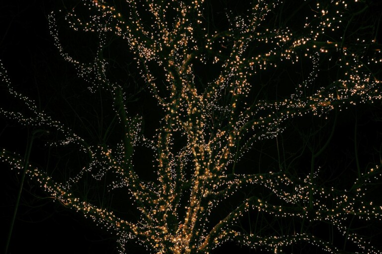 |Fairy lights